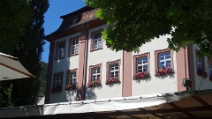2016-07 Schlossgartenkonzert Dettingen (11)